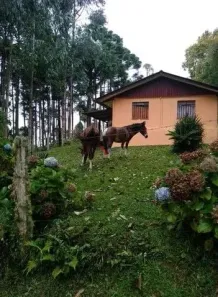 Fazenda / Sítio / Chácara com 6 Quartos à venda, 144000m² no Jardim Pinheiros, Quatro Barras
