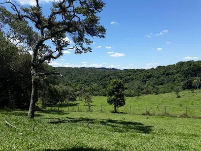 Fazenda / Sítio / Chácara à venda, 133100m² no , Vargem Grande Paulista
