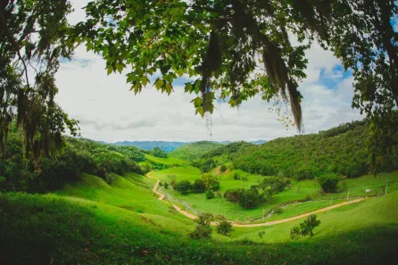 Fazenda / Sítio / Chácara à venda, 38000m² no , Águas Mornas