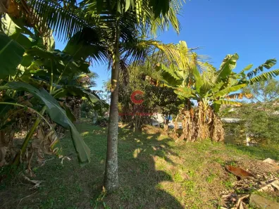 Fazenda / Sítio / Chácara com 4 Quartos para alugar, 3200m² no Jardim Chácara Méa, Suzano