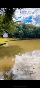 Fazenda / Sítio / Chácara à venda, 15300m² no , Catanduvas