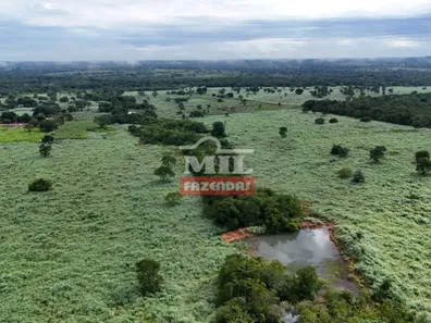Fazenda / Sítio / Chácara com 2 Quartos à venda, 500m² no Setor Central, Gurupi