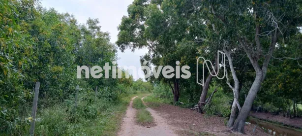 Terreno / Lote Comercial à venda, 360m² no Morada da Barra, Vila Velha