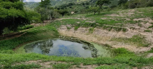 Fazenda / Sítio / Chácara com 3 Quartos à venda, 100000m² no Área Rural de Vitória do Santo Antão, Vitória de Santo Antão