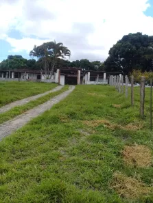 Fazenda / Sítio / Chácara à venda, 950000m² no , Joaquim Gomes