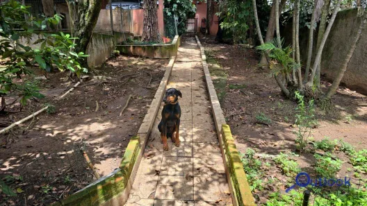 Terreno / Lote / Condomínio à venda, 600m² no Centro, Diadema