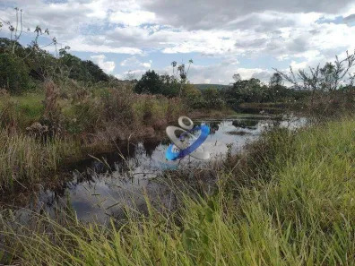 Fazenda / Sítio / Chácara à venda, 96800m² no Caçapava Velha, Caçapava