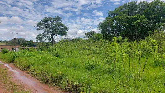 Fazenda / Sítio / Chácara com 2 Quartos à venda, 190000m² no Brazlândia, Brasília