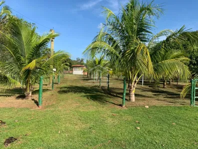 Casa com 2 Quartos à venda, 110000m² no Centro, Nazária