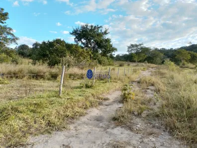 Terreno / Lote / Condomínio à venda, 20000m² no Abadiânia, Abadiânia