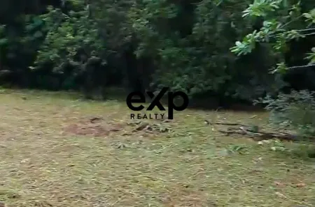 Terreno / Lote / Condomínio à venda, 3228m² no Chã da Tábua, São Lourenço da Mata