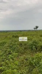 Fazenda / Sítio / Chácara com 8 Quartos à venda, 600m² no São José, Formoso do Araguaia