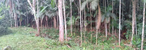Terreno / Lote / Condomínio à venda, 18000m² no Carmelo, São João Batista