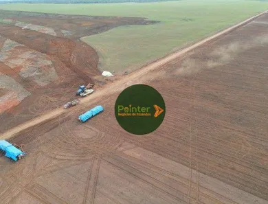 Fazenda / Sítio / Chácara à venda, 100000m² no , Pedro Afonso