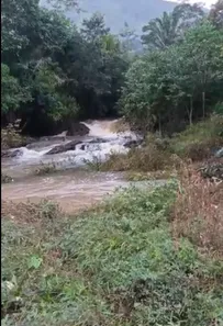 Fazenda / Sítio / Chácara à venda, 2000m² no , Joaquim Gomes
