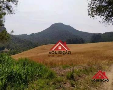 Fazenda / Sítio / Chácara com 1 Quarto à venda, 20000m² no Felpudo, Campo Largo