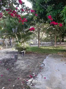 Terreno / Lote / Condomínio com 1 Quarto à venda, 10000m² no , Prado