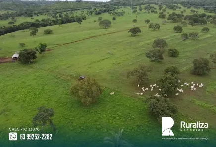 Fazenda / Sítio / Chácara à venda, 300m² no , Guaraí