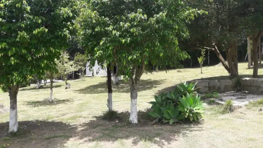 Fazenda / Sítio / Chácara com 3 Quartos para venda ou aluguel, 170m² no Cocuera, Mogi das Cruzes