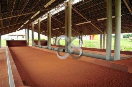 Terreno / Lote / Condomínio à venda, 2505m² no , Sertanópolis