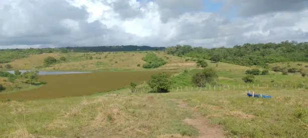 Fazenda / Sítio / Chácara com 9 Quartos à venda, 5900000m² no , Pombos
