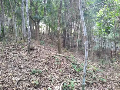 Terreno / Lote / Condomínio à venda, 1461m² no Pirucaia, Mairiporã