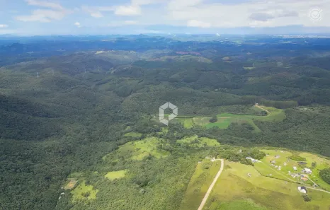 Terreno / Lote / Condomínio à venda, 22003m² no São Luiz do Purunã, Balsa Nova