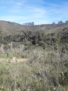 Fazenda / Sítio / Chácara à venda, 20000m² no Jardim Roriz, Brasília