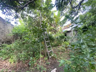 Loja / Salão / Ponto Comercial à venda, 600m² no Alto Branco, Campina Grande