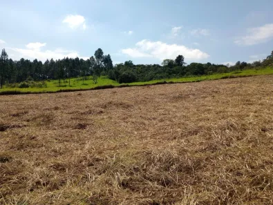 Fazenda / Sítio / Chácara à venda, 1000m² no Saboó, São Roque