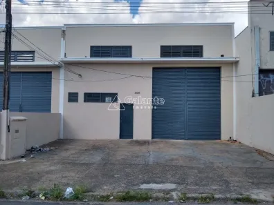 Galpão / Depósito / Armazém para alugar, 220m² no Jardim do Lago, Campinas