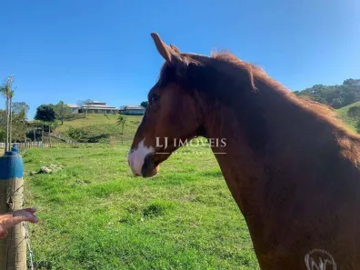 Fazenda / Sítio / Chácara à venda, 1000m² no Centro, Tanguá
