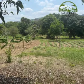 Fazenda / Sítio / Chácara com 4 Quartos à venda, 10000m² no Papucaia, Cachoeiras de Macacu