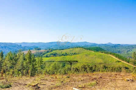 Fazenda / Sítio / Chácara com 1 Quarto à venda, 2693786m² no Centro, Campo Largo