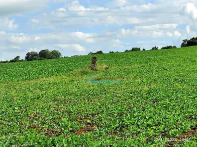 Fazenda / Sítio / Chácara à venda, 72600m² no , Catanduvas