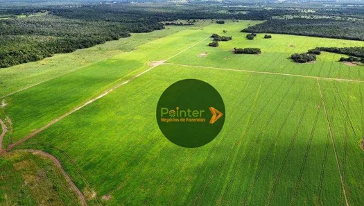 Fazenda / Sítio / Chácara à venda, 7000000m² no Setor Central, Gurupi