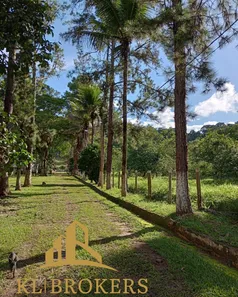 Fazenda / Sítio / Chácara com 5 Quartos à venda, 480m² no Vargem Alegre, Barra do Piraí
