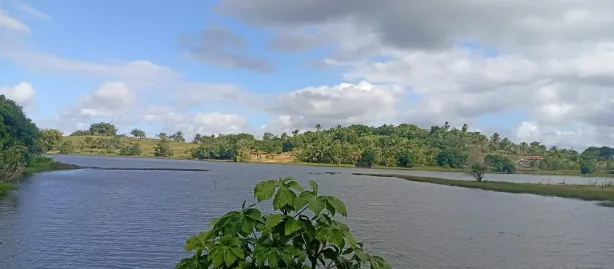 Fazenda / Sítio / Chácara com 3 Quartos à venda, 2900m² no , Mata de São João