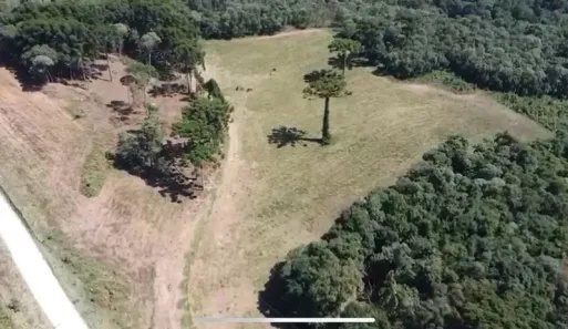 Terreno / Lote Comercial à venda, 130000m² no Itaqui de Cima, Campo Largo