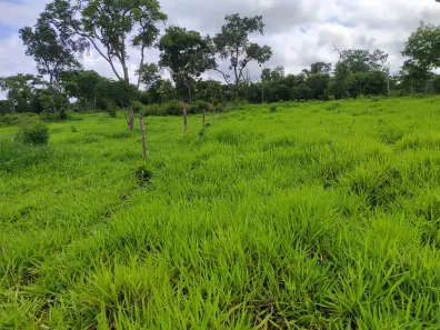Fazenda / Sítio / Chácara com 3 Quartos à venda, 363000m² no Bezerra, Formosa