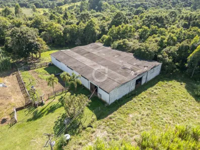 Fazenda / Sítio / Chácara com 3 Quartos à venda, 242000m² no , Campina Grande do Sul
