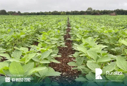 Fazenda / Sítio / Chácara à venda, 484m² no , Lagoa da Confusão