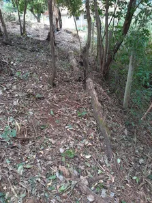 Fazenda / Sítio / Chácara à venda, 3000m² no Condomínio Horizontal Marajoara, Ibiporã
