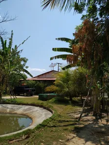 Fazenda / Sítio / Chácara com 2 Quartos à venda, 150m² no , Tururu