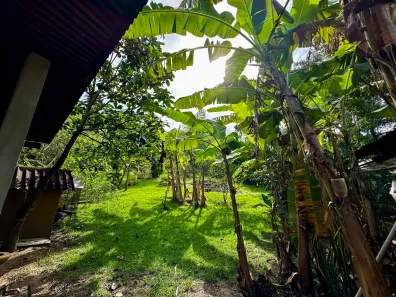 Fazenda / Sítio / Chácara com 4 Quartos à venda, 160m² no Guaratiba, Rio de Janeiro