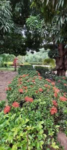 Fazenda / Sítio / Chácara com 2 Quartos à venda, 300m² no Gercino Coelho, Petrolina