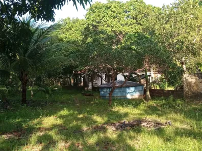 Fazenda / Sítio / Chácara com 4 Quartos para alugar, 5124m² no Caracanga, Itaitinga