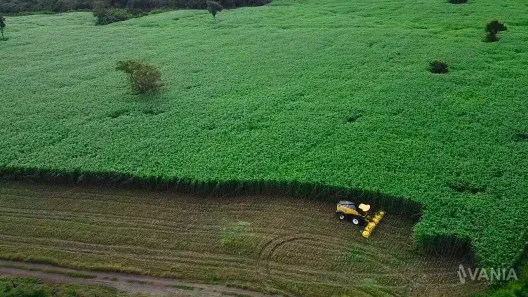 Fazenda / Sítio / Chácara à venda, 726000m² no Setor Central, Ponte Alta do Tocantins