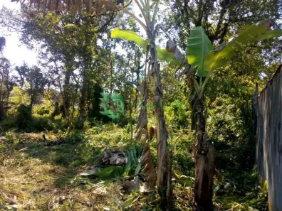Fazenda / Sítio / Chácara à venda, 1400m² no , Mongaguá