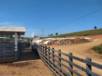 Fazenda / Sítio / Chácara com 2 Quartos à venda, 249m² no Chácara Marambaia, Caçapava